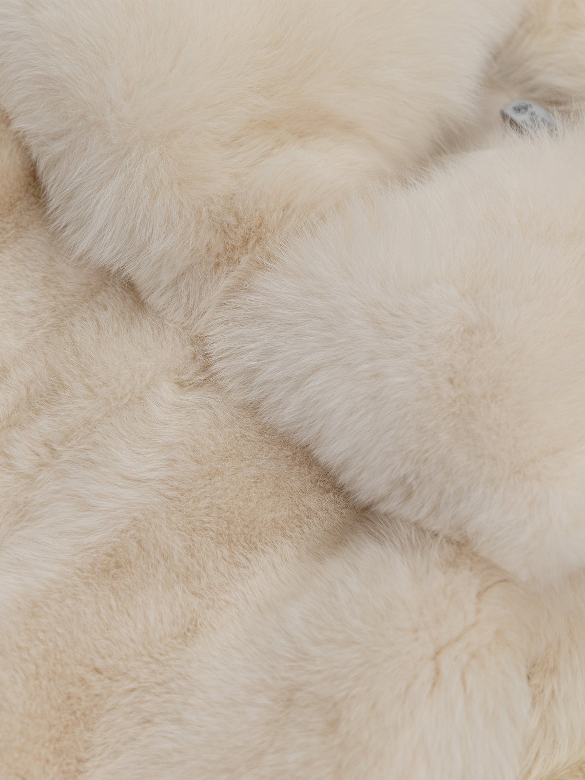 Women's Ivory Fox Fur Coat